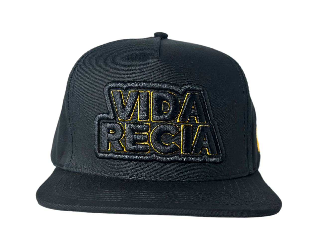 EDICIÓN VIDA RECIA